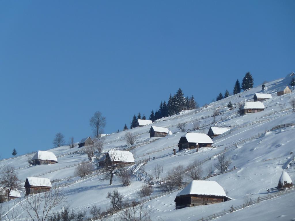 Отель Ranger Chalet Моечиу-де-Сус Номер фото